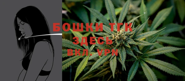 ГАЛЛЮЦИНОГЕННЫЕ ГРИБЫ Балабаново