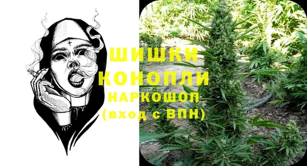 ГАЛЛЮЦИНОГЕННЫЕ ГРИБЫ Балабаново