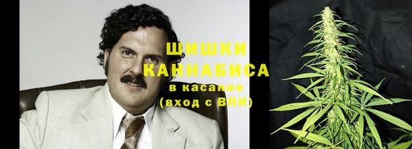 ГАЛЛЮЦИНОГЕННЫЕ ГРИБЫ Балабаново