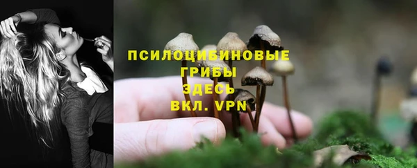ГАЛЛЮЦИНОГЕННЫЕ ГРИБЫ Балабаново