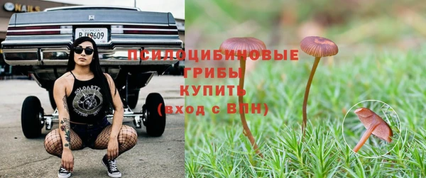 мескалин Балахна