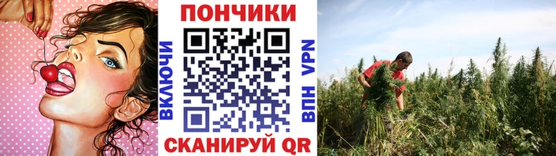 Конопля конопля  где купить наркоту  Верхняя Тура 